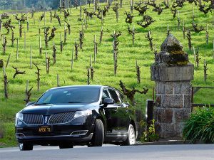 Inglenook, Historic Napa Valley Wine Estate